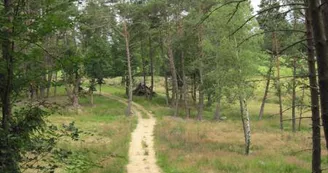 Chemin