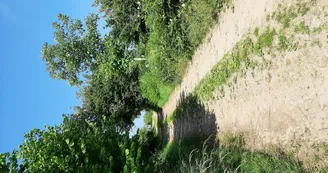 chemin accescamping