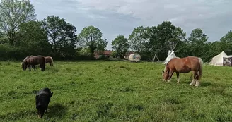 Espace commun et environnement naturel du Village insolite