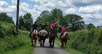 Rencontre avec les chevaux du Clos de l’Isop
