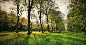 Aire de pique nique à Saint-Amand-Magnazeix