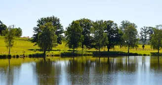 Aire de pique-nique - Saint-Hilaire-les-Places