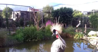 Jardin Zoologique Bellachon