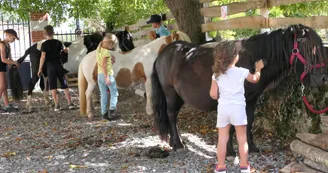 rochechouart_2020_Amel-elmalah-ferme-terrhappy