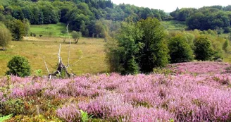 Aire pique-nique Saint-Léger tourbière (1)