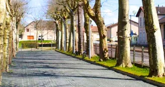 Terrain de pétanque - Châlus 