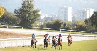 Couzeix - Hippodrome