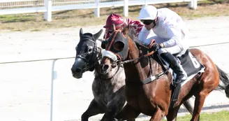 Couzeix - Hippodrome