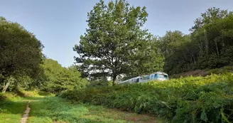 Aire de pique-nique dans la campagne du Limousin à Saint-Léonard de Noblat entre la rivière et la voie de chemin de fer Aire de pique-nique dans la campagne du Limousin à Saint-Léonard de Noblat entre la rivière et la voie de chemin de fer