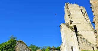 forteresse-de-chalucet forteresse-de-chalucet
