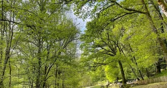 Ligoure à Châlucet copie Ligoure à Châlucet copie