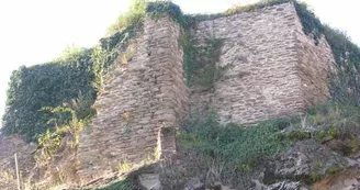 DSCN0944_web