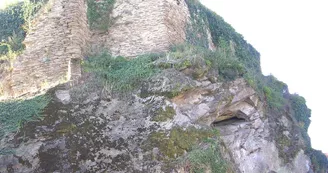 DSCN0946