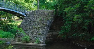 Pont médiéval dit 'Pont Malassert'