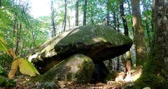 Dolmen de la Lieue_1