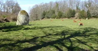 Menhir des Fichades_2