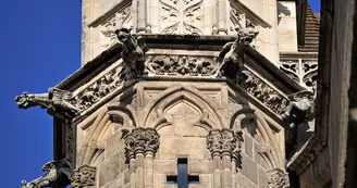 Gargouilles Cathédrale Ville de Limoges