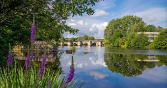 Bords de Vienne