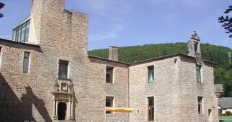 Le château de Nedde_1