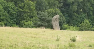 Menhirs du Métayer_1 Menhirs du Métayer_1