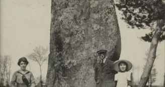Menhirs du Métayer_2 Menhirs du Métayer_2