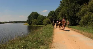 Balade à cheval aux abords du plan d'eau de Videix_13 Balade à cheval aux abords du plan d'eau de Videix_13