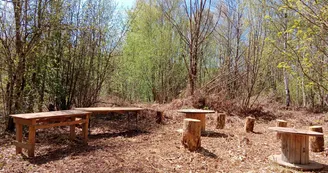 PHOTO ATELIER FORET