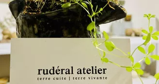 Rudéral atelier