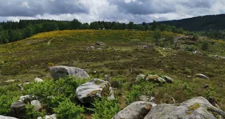 Landes de la Mazure