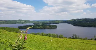 Vue sur le lac de Vassivière