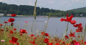 Ile de Vassivière_3