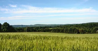 Les Monts de Blond_7