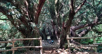 Peyrassoulat_vélo_Chéronnac