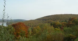 Bois de Crozat_1