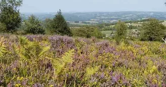 Mont Gargan_1