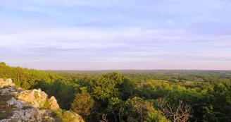 FrochetHautLimousin_1