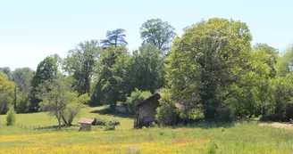 Lande de Saint-Laurent
