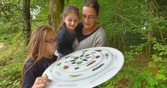 Sentier d'interprétation de la Forêt d'Épagne à Sauviat-sur-Vige en Limousin