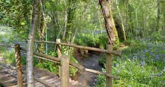 Sentier Musical de Pageas 