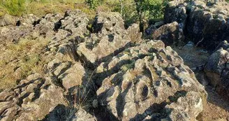 Landes des pierres du mas 