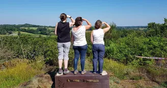 du-bruit-dans-les-bruyeres