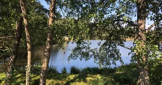 Landes des pierres du mas 