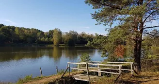 Landes des pierres du mas 