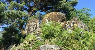 Landes des pierres du mas 