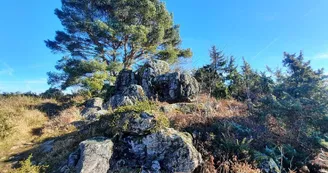 Landes des pierres du mas 