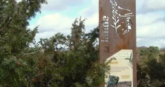 Landes des pierres du Mas 