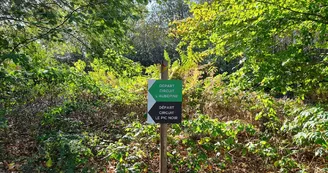 Circuits balisés de la Forêt de Lifarnet à Saint-Léonard de Noblat 