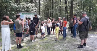 Sortie dans la Forêt des Allois avec le secteur nature-environnement du Foyer rural Centre Social de Saint Léonard de Noblat