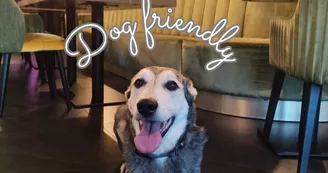 brasserie dog friendly