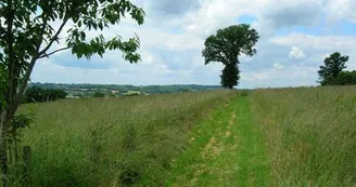 Circuit du Puy de Grammont à Saint-Méard 3_3